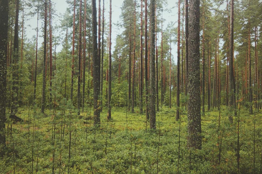 Cumque beatae possimus fugiat non dolores incidunt delectus earum maiores assumenda